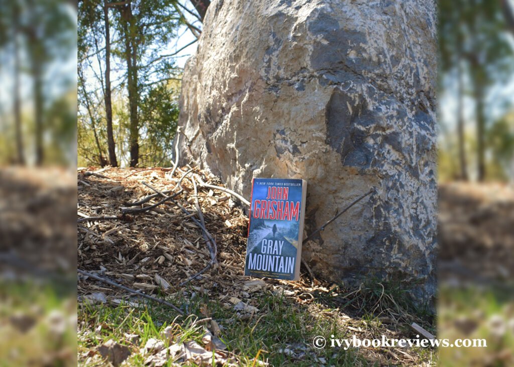 Picture of the book GRAY-MOUNTAIN on nature's floor