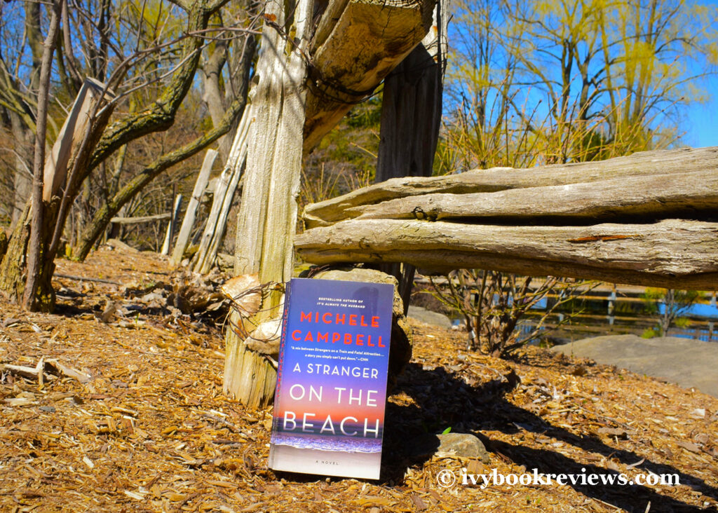 Picture of the book A STRANGER ON THE BEACH on nature's floor